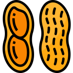Icon Erdnüsse